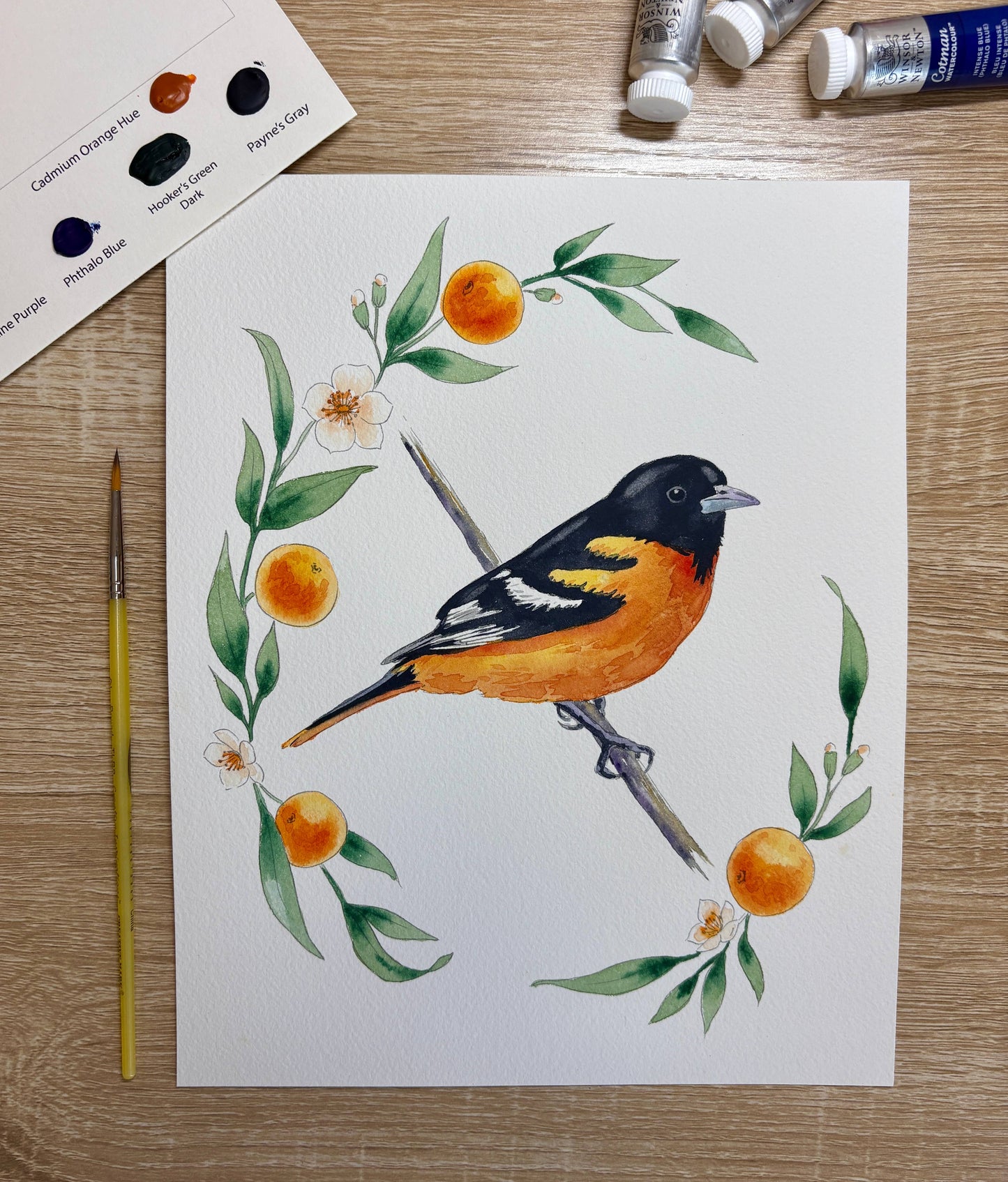Emily Marie Watercolors - Watercolor Painting Kit: Backyard Birds