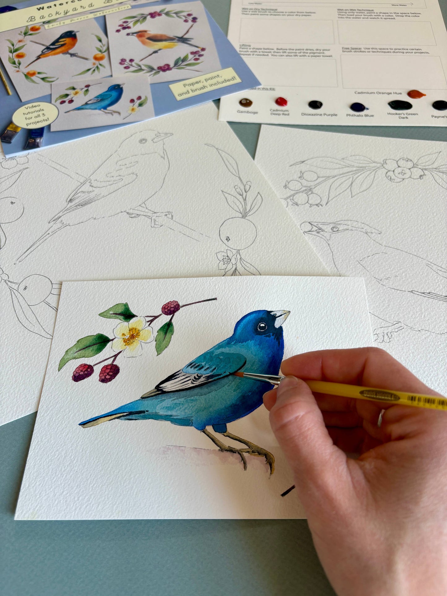 Emily Marie Watercolors - Watercolor Painting Kit: Backyard Birds