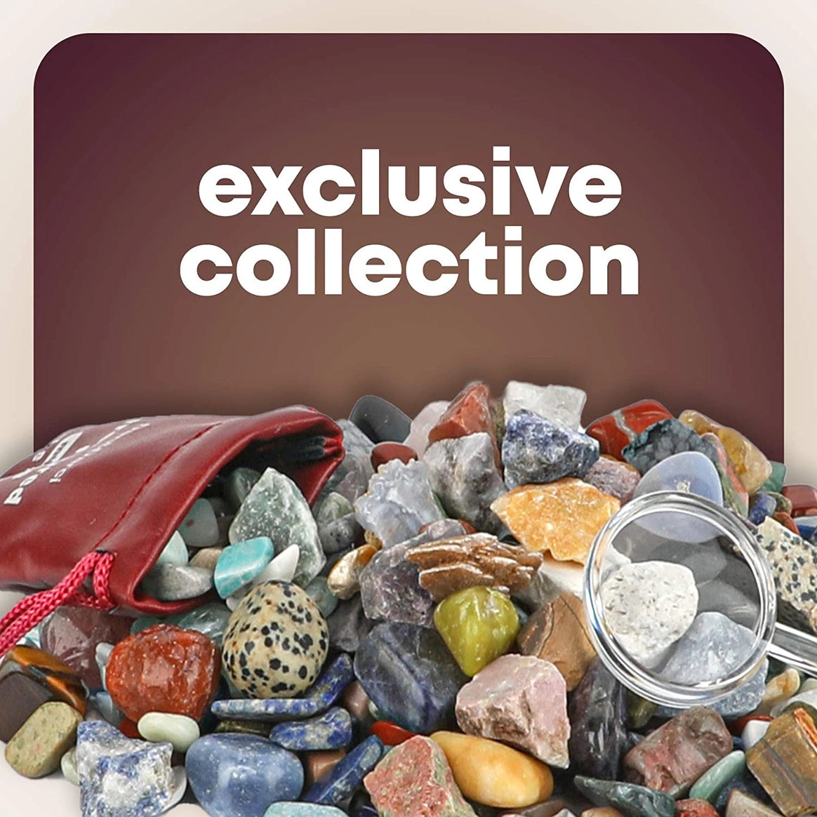 Dan&Darci - Mega Rock, Fossil & Mineral Collection