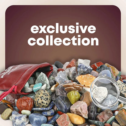 Dan&Darci - Mega Rock, Fossil & Mineral Collection