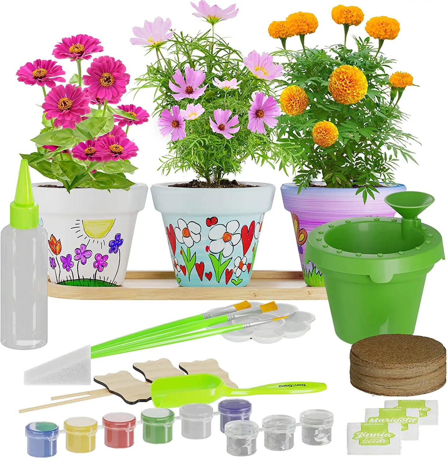 Dan&Darci - Cast, Paint & Plant Kit for Kids &