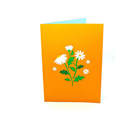 Wonder Paper Art - Daisies Flower 3D card/Mail For You