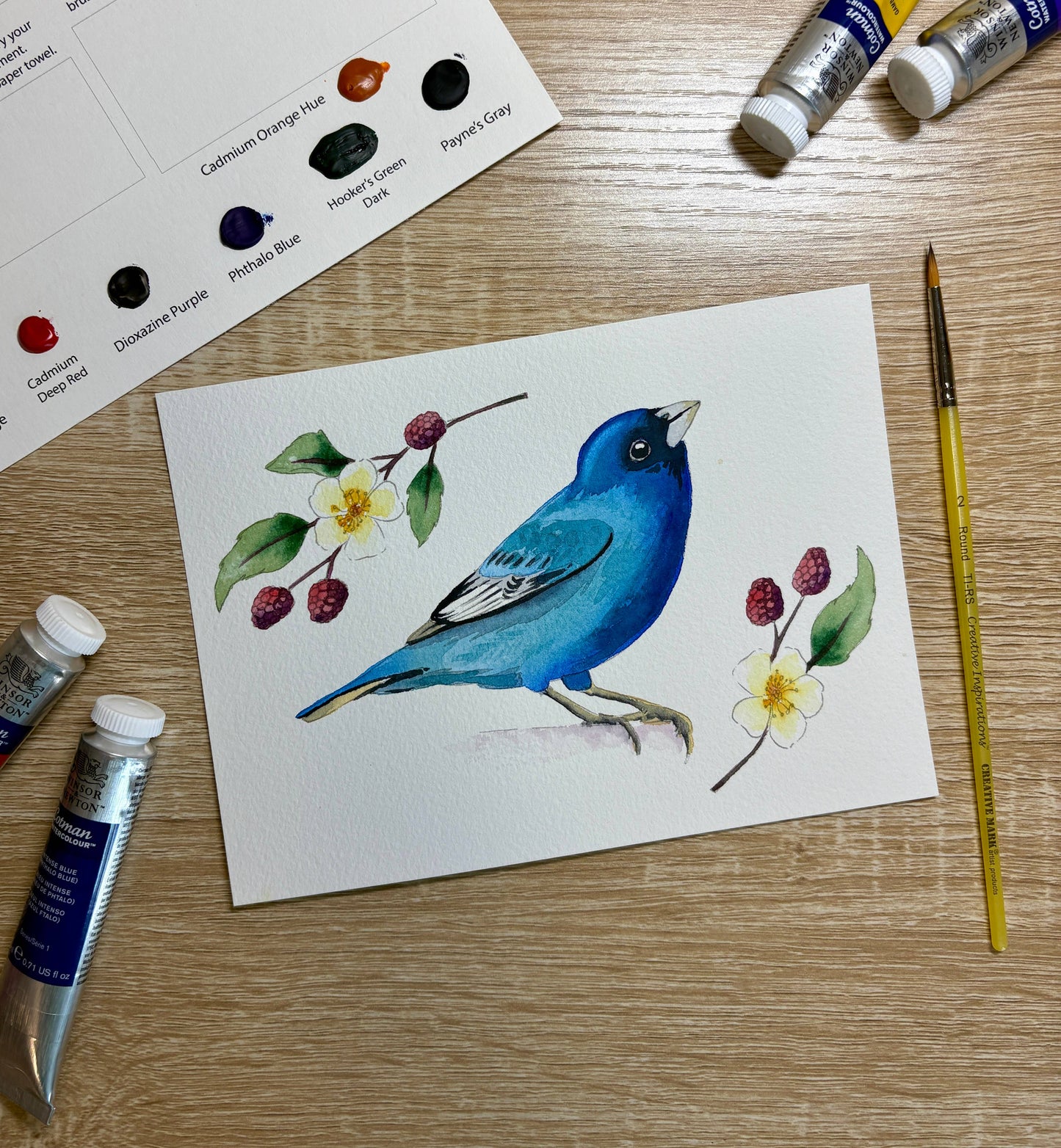 Emily Marie Watercolors - Watercolor Painting Kit: Backyard Birds