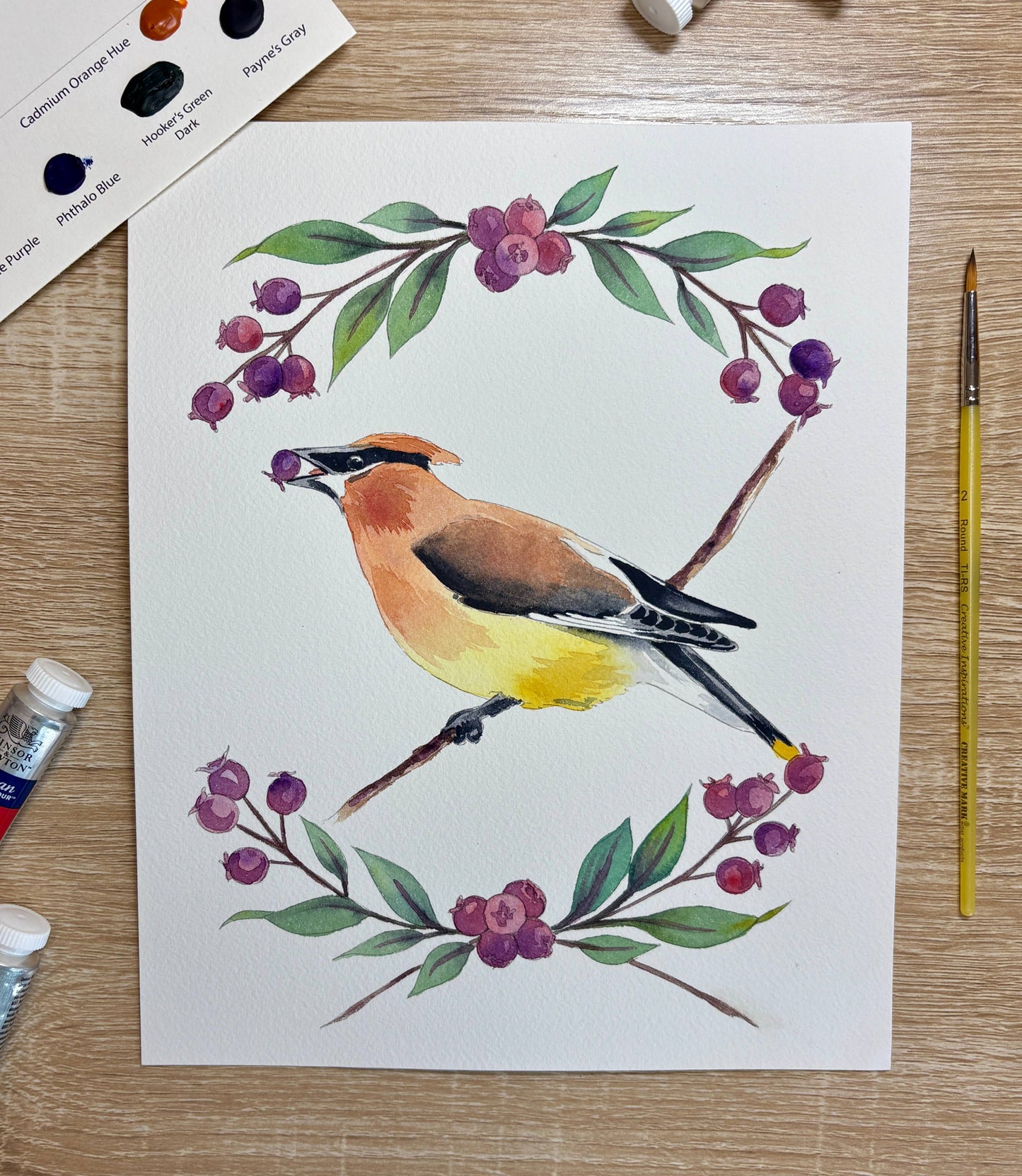 Emily Marie Watercolors - Watercolor Painting Kit: Backyard Birds