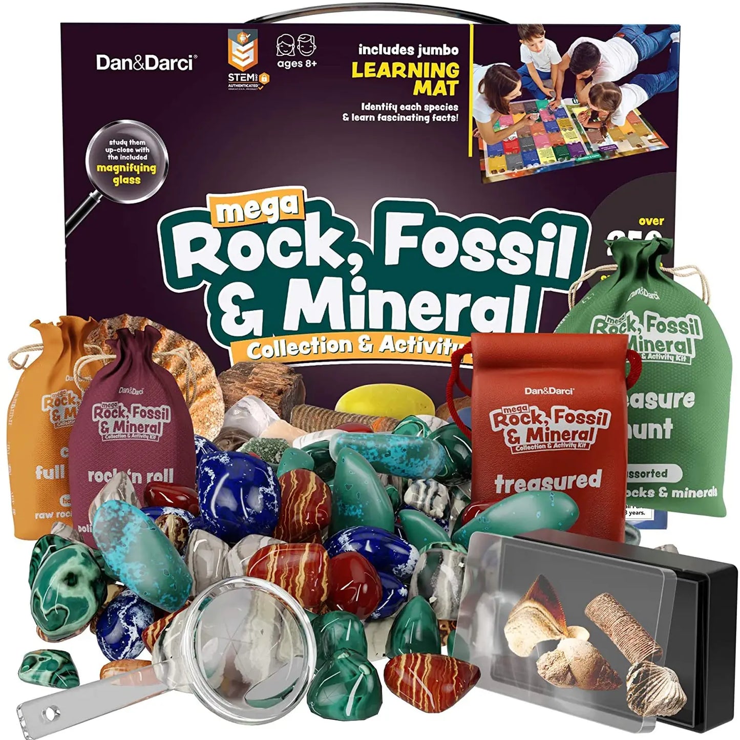 Dan&Darci - Mega Rock, Fossil & Mineral Collection