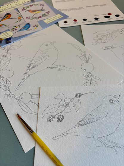 Emily Marie Watercolors - Watercolor Painting Kit: Backyard Birds