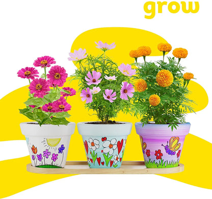 Dan&Darci - Cast, Paint & Plant Kit for Kids &