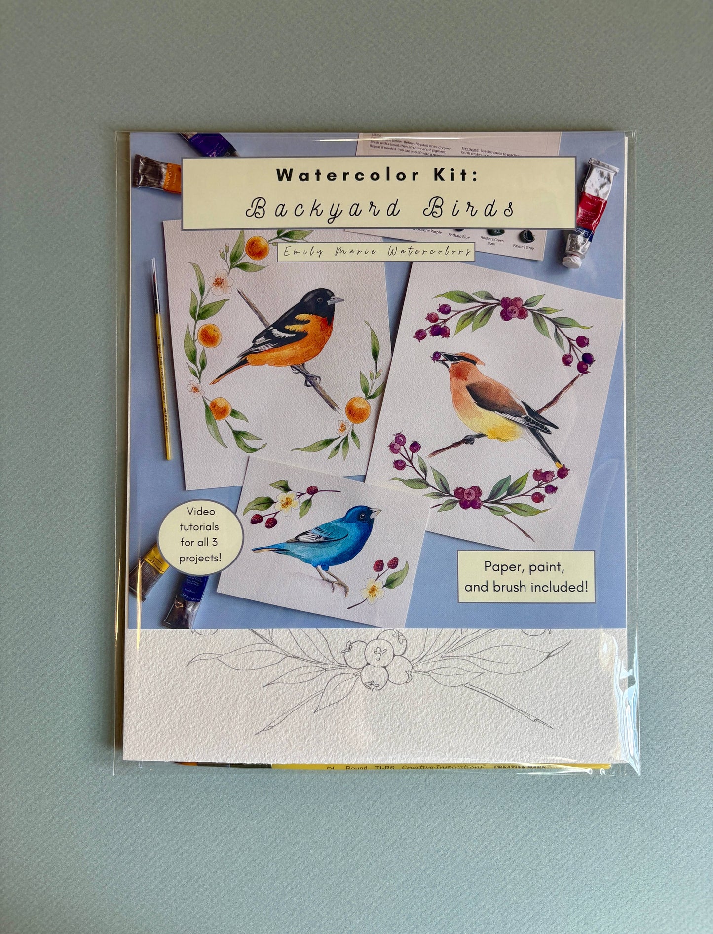 Emily Marie Watercolors - Watercolor Painting Kit: Backyard Birds