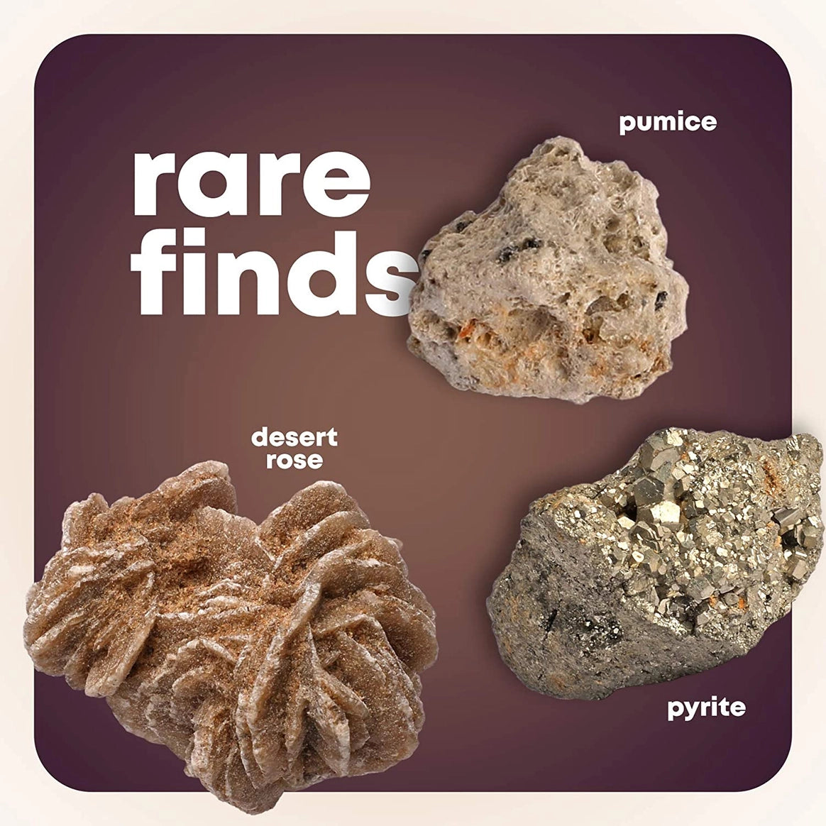 Dan&Darci - Mega Rock, Fossil & Mineral Collection