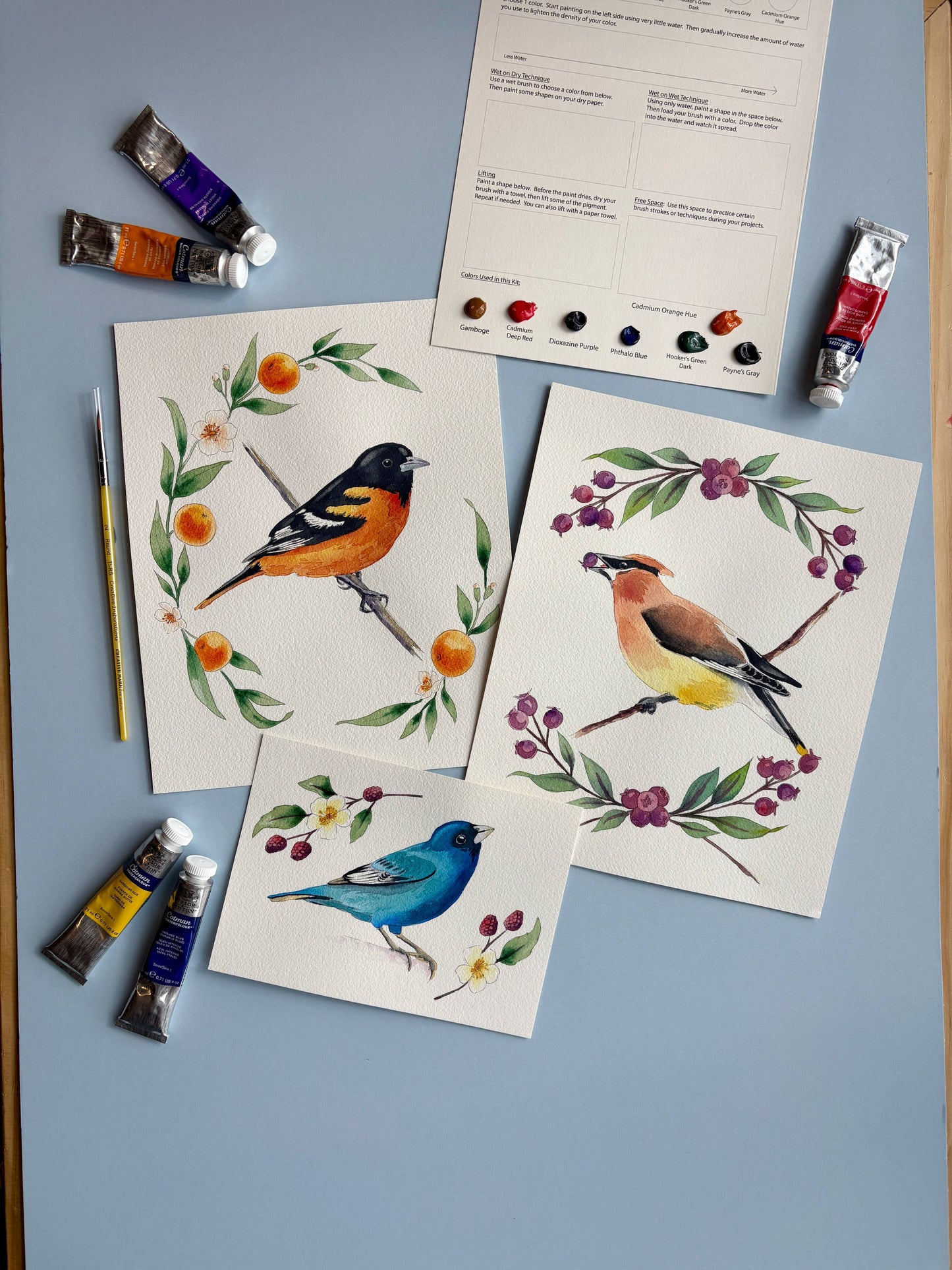 Emily Marie Watercolors - Watercolor Painting Kit: Backyard Birds