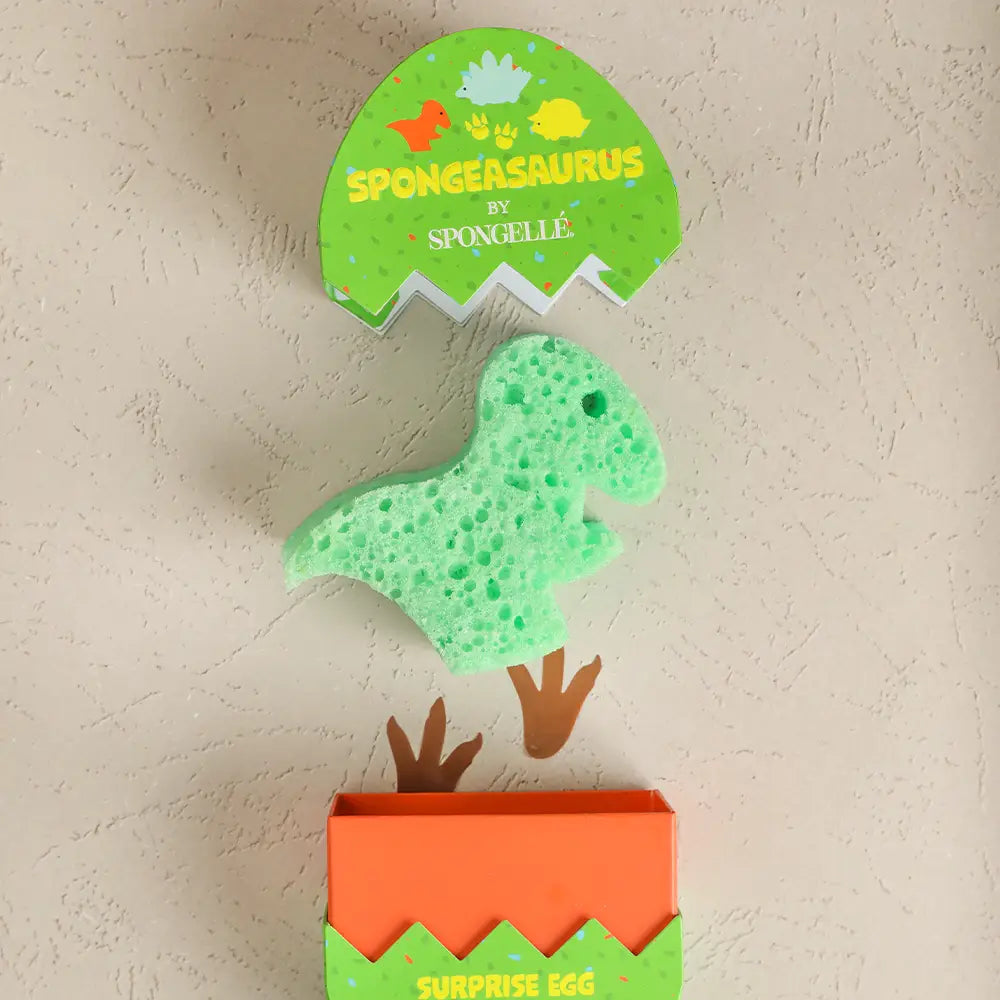 SURPRISE Spongeasaurus Dinosaur Sponges by Spongelle