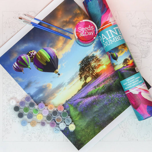 Seriously Shea - HARD Hot Air Balloon Adult DIY Paint-By-Number Craft Set Kit