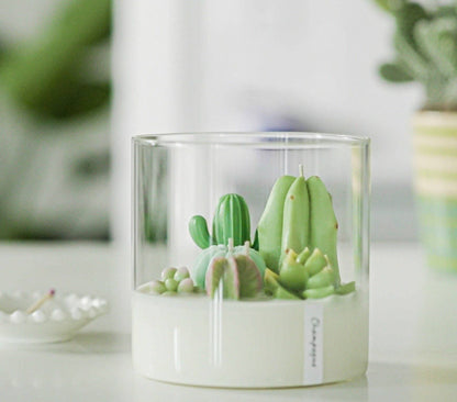 ZOETSTUDIO - Large 3-wick Terrarium Candle | Soy blend