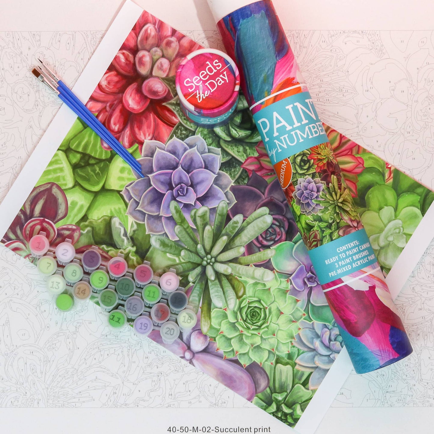 Seriously Shea - MEDIUM Succulent Adult DIY Paint-By-Number Craft Kits Gift